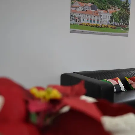 Casa Do Ti Luis 招待所 莱里亚